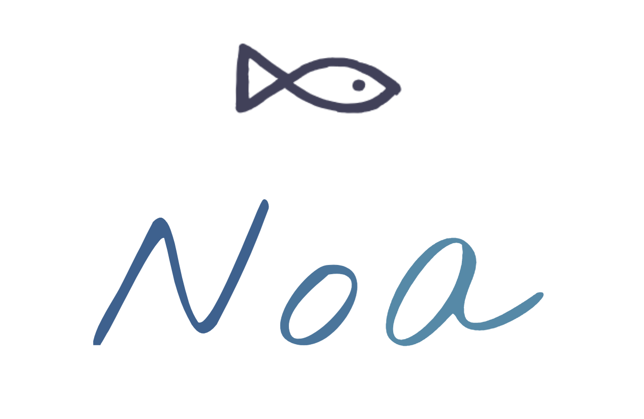 Noa Logo